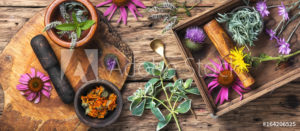 AdobeStock 164206525 Preview