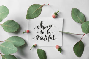 shutterstock 535051810