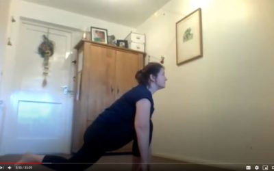 Exercise Regime – Yoga Poses, Fat Loss, Cardio and Sitting Postures [videos]