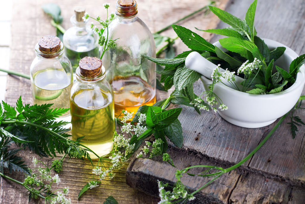 Why use Herbal Medicine?