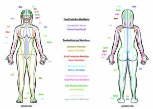 Acupuncture Female Body Meridians Sutherland House